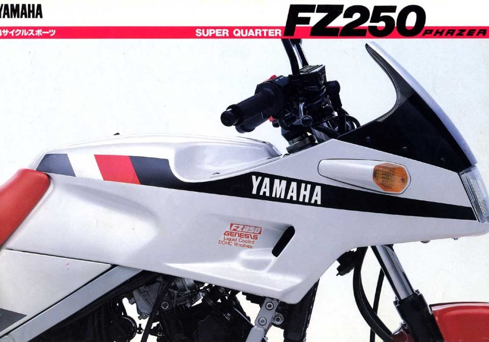 【广告】FZ250