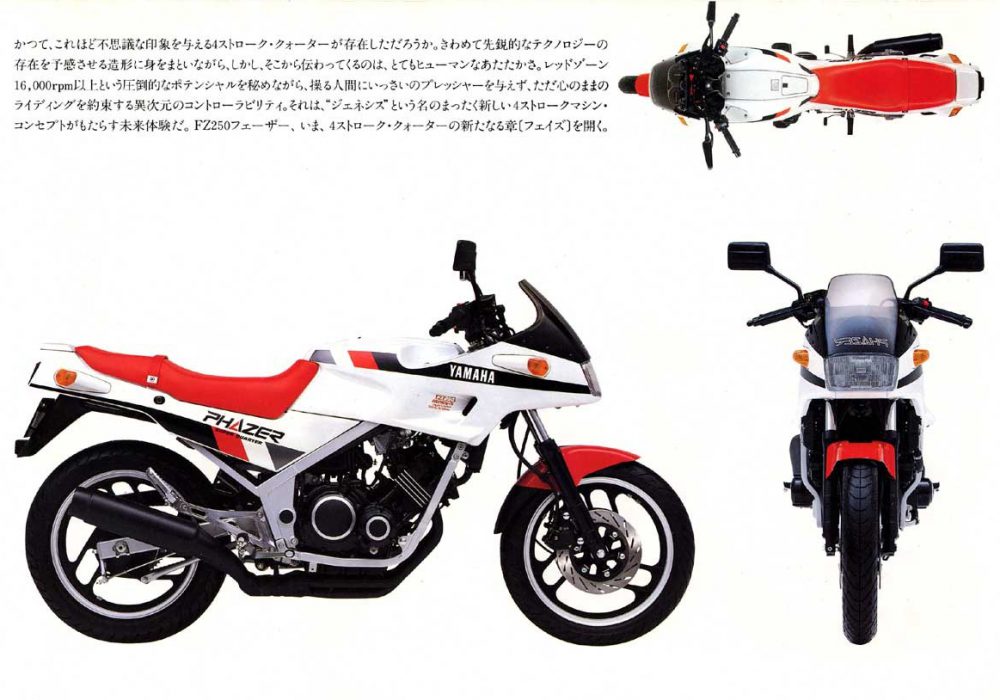 【广告】FZ250