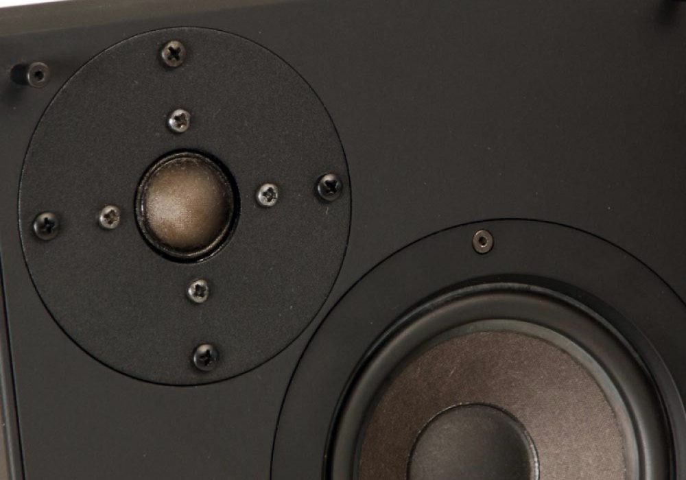 Braun LSV