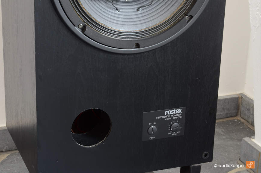 Fostex RM-1000 Coaxial Monitors