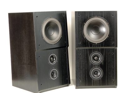 Dynaudio MSP 200