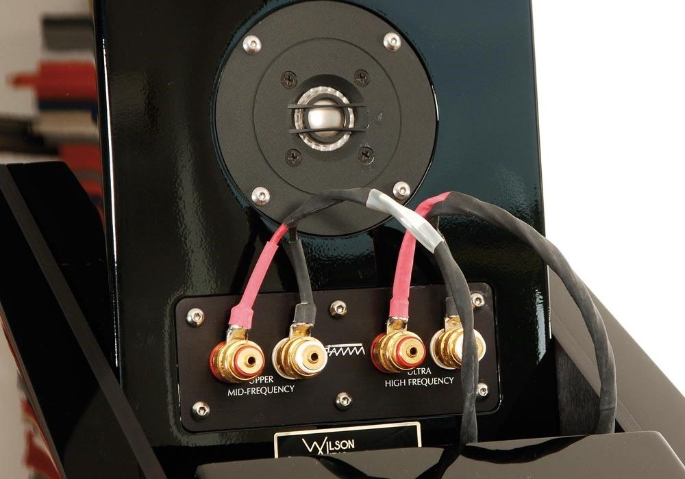 Wilson Audio Grand SLAMM X1 III 音箱 Lark Club