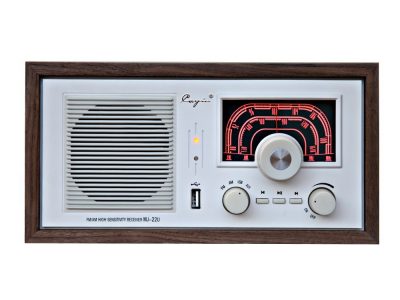 斯巴克 Cayin MJ-22U FM/AM 收音机