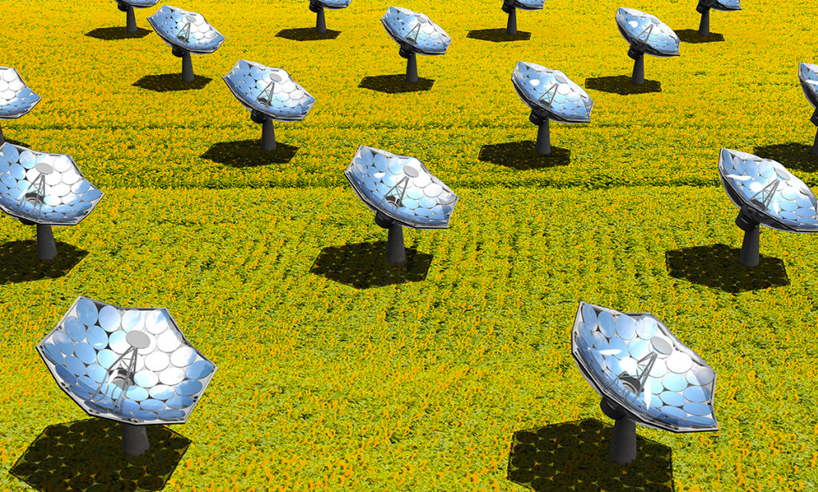 技术与艺术的结晶：向日葵太阳能电池板（ Sunflower ）能够为偏远地区的电力和热能提供带来便利