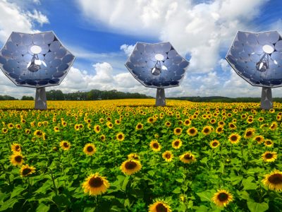 技术与艺术的结晶：向日葵太阳能电池板（ Sunflower ）能够为偏远地区的电力和热能提供带来便利