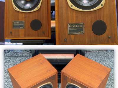 天朗 TANNOY LOMOND SY25 同轴音箱