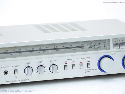 WEGA R250SH AM/FM 收音头